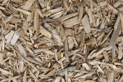 biomass boilers Penglais